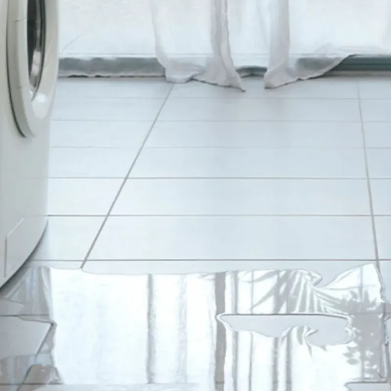 Appliance Leak Cleanup in Belhaven, NC