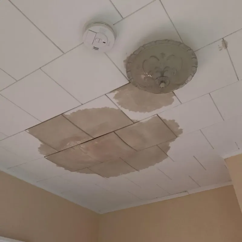 Ceiling Water Damage Repair in Belhaven, NC