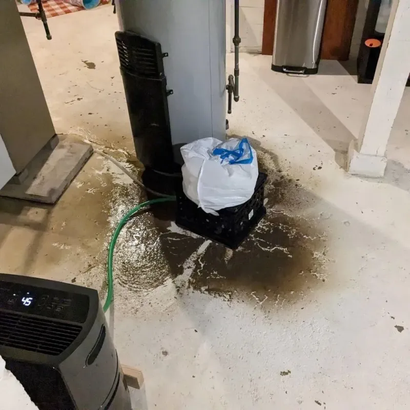 Sewage Backup Cleanup Service in Belhaven, NC